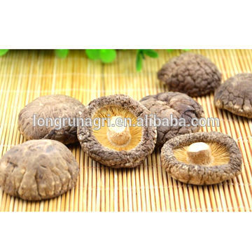 Natural and Green Dried Smooth Lentinus Edode Manufacturer